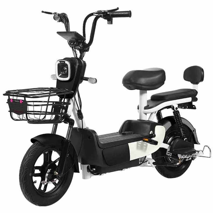 Electric Bicycle 2026 Budget Pick best